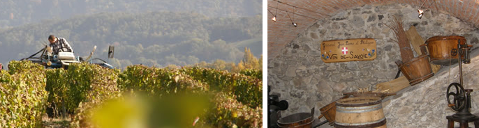 La cave