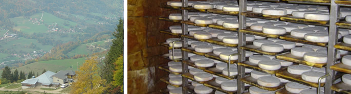 Les fromages